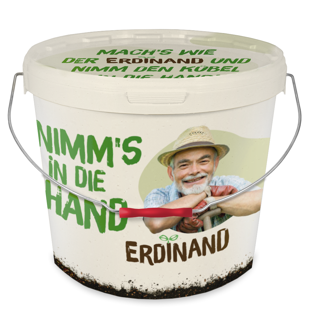 Erdinand