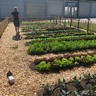 Marktgarten